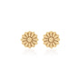 Silk & Steel Jewellery Superfine Daisy Stud Earrings Gold