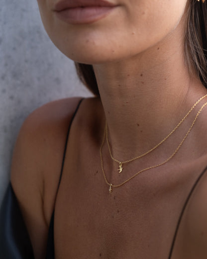 Silk & Steel Superfine Talisman Petite Swallow Necklace Silver