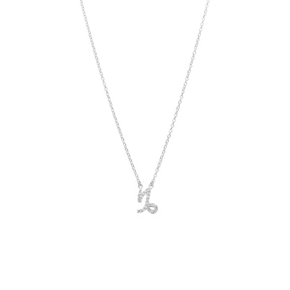 Silk & Steel Jewellery Capricorn Star Sign Pendant Necklace in Sterling Silver with Cubic Zirconias