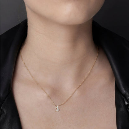 JUNE | Capricorn Necklace CZ + Silver